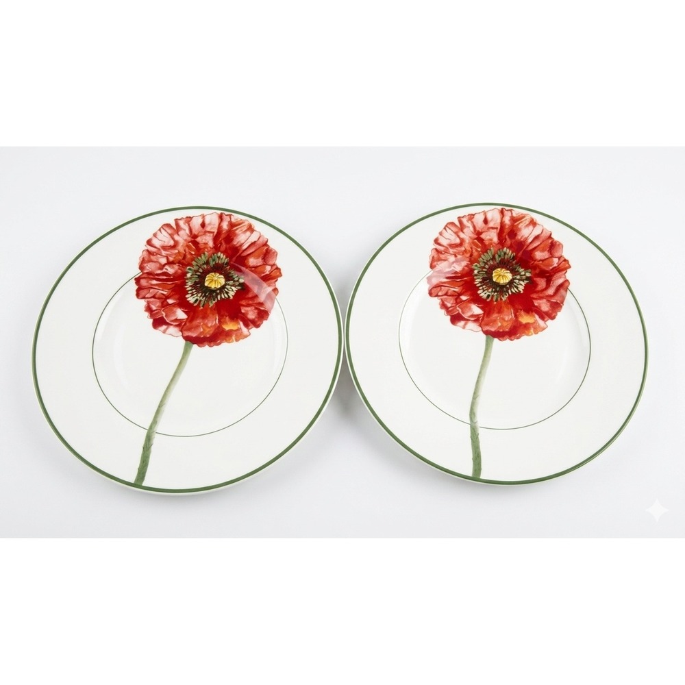 Villeroy & Boch Flora Poppy Salad Plates House & Garden Collection Set of 2